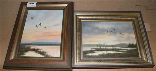 Geoffrey Campbell-Black Mallard flying over water, 8 x 6in. and 6 x 8in.